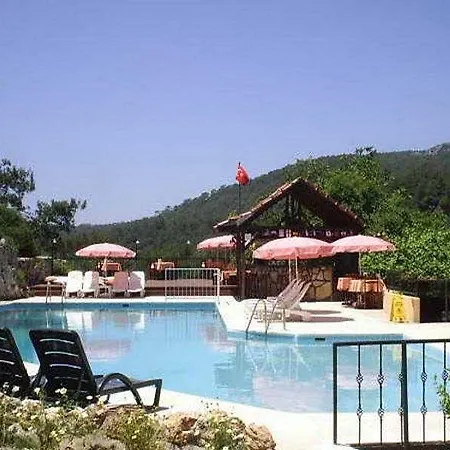 New Golden Gate 페티예